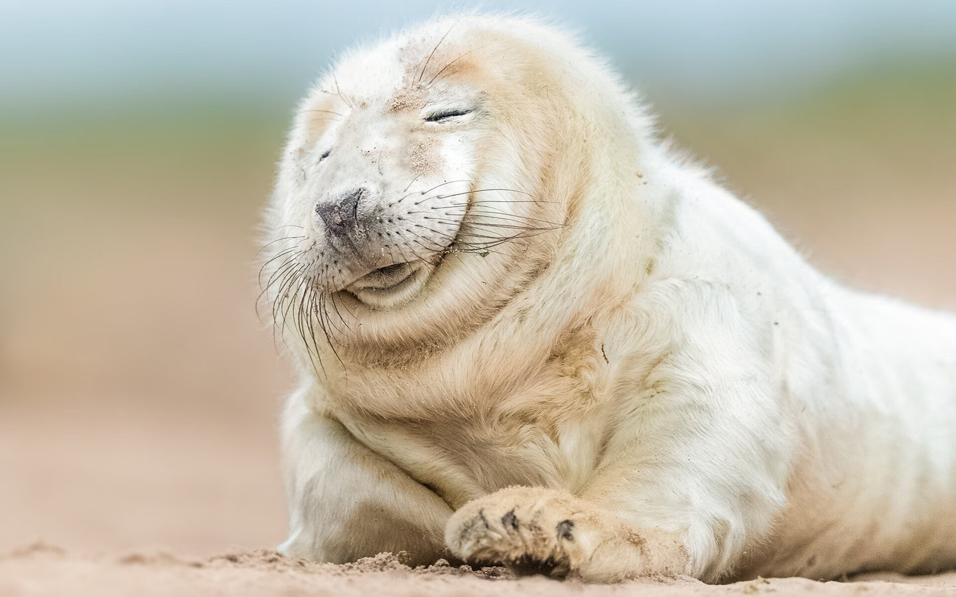 _退役运动员表演赛:缅怀历史,振奋精神_,退役军人运动员