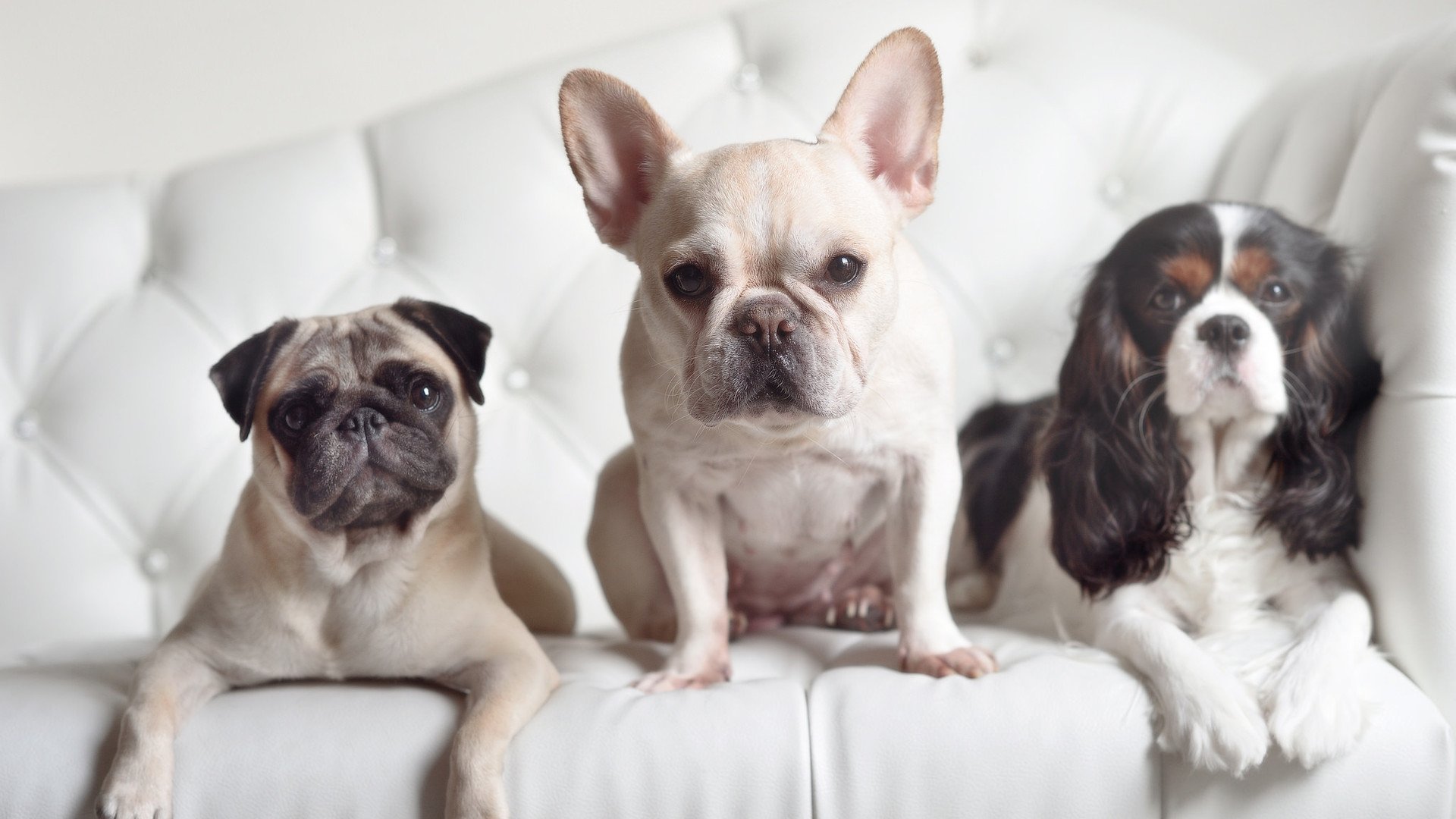 _都市超级马拉松：在摩天大楼之间奔跑_，超级马拉松比赛