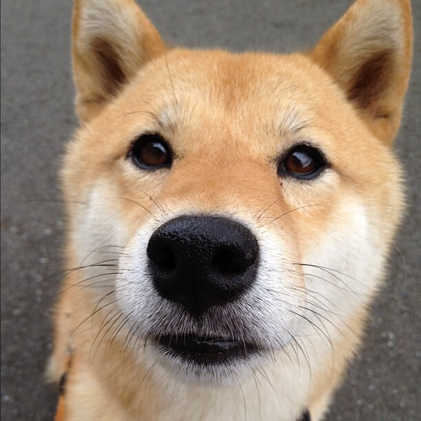 史上最“燃”逆转：哪场比赛让你还在回味？，世界十大逆转比赛